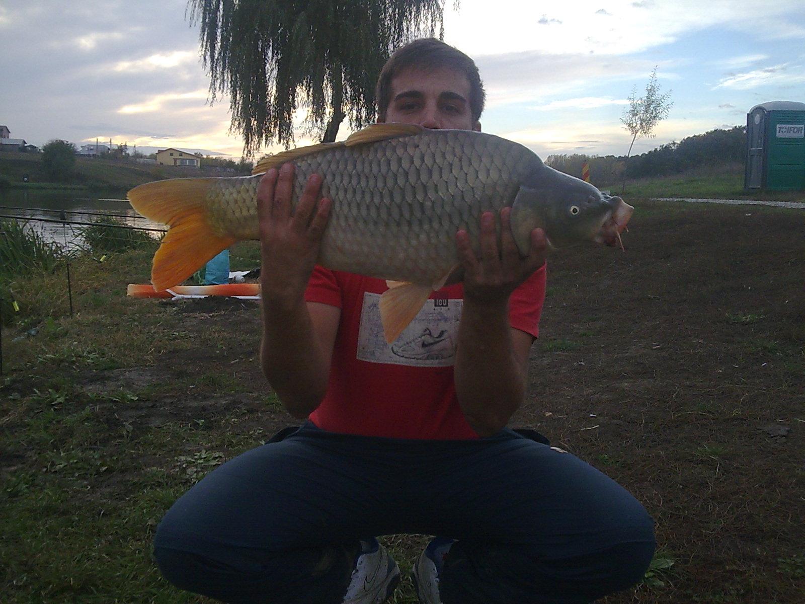 mv2 - Imagine0858.jpg